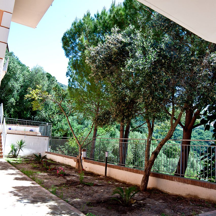 Particolare Giardino